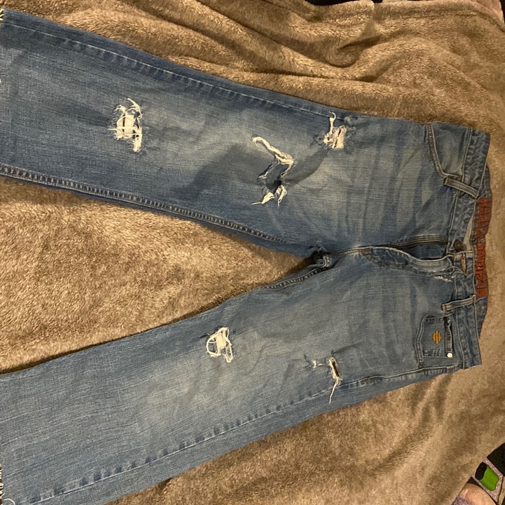 Harley Davidson jeans